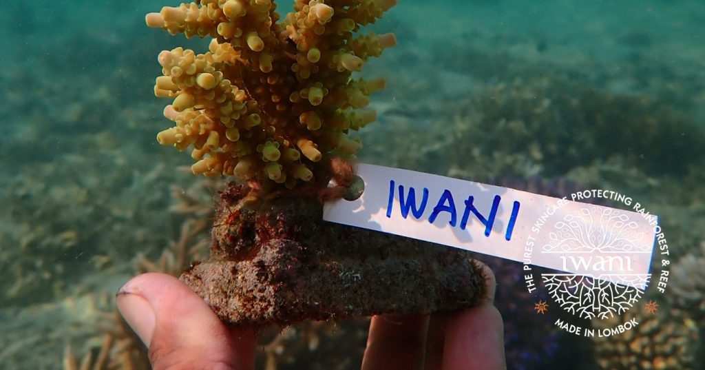 Why IWANI skincare is natural