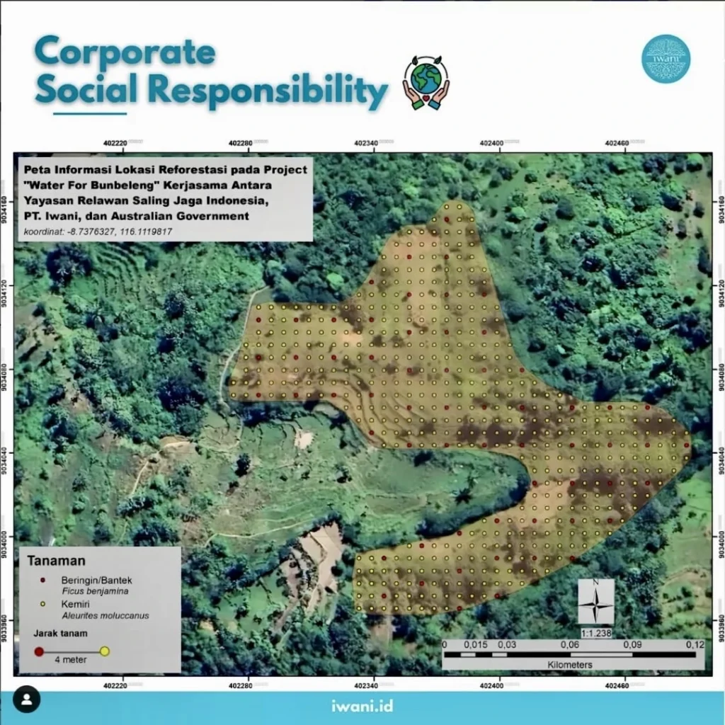 Restoring Forest