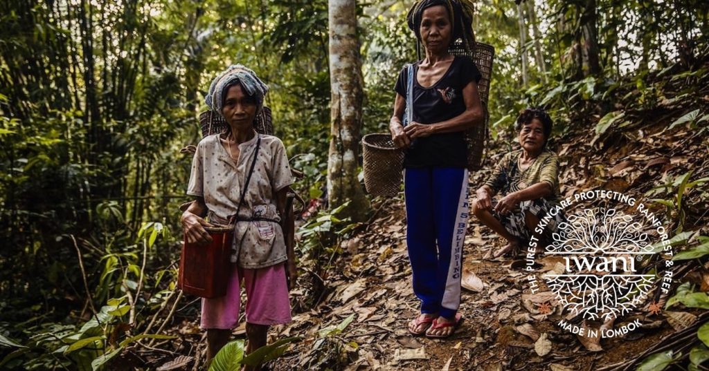 The dayak commuties of Borneo